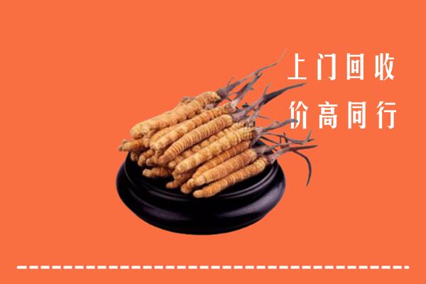 附近收购：方城县冬虫夏草回收多少钱每克