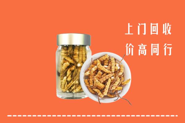 方城县回收冬虫夏草