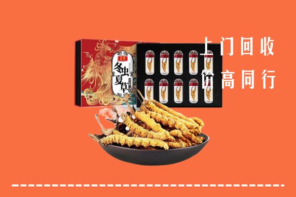 方城县回收虫草